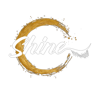 Shine Makeup